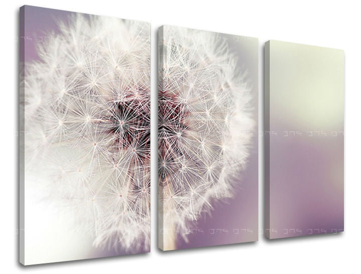 Geometrický obraz s motivem pampeliška, květy v bílo-béžových odstínech | Obraz na stěnu KVĚTY, příroda a jarní atmosféra – náhled