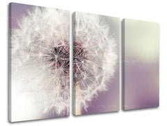Geometrický obraz na plátně s motivem pampeliška, květy v bílo-béžových odstínech, klidná atmosféra, příroda a jarní atmosféra, třídílné provedení – hlavní