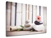 Klasický obraz na plátně s motivem FENG SHUI, bambus, květy, příroda v béžovo-růžových odstínech, klidná atmosféra, příroda, vhodný do obývacího pokoje – produkt