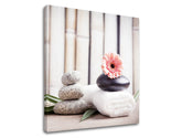 Klasický obraz na plátně s motivem FENG SHUI, květy, příroda v bílo-béžových odstínech, klidná atmosféra, příroda, vhodný do obývacího pokoje | Obraz na plátně FENG SHUI_053-12 – produkt