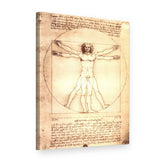 Obraz na plátně Vitruviánský muž – Leonardo da Vinci, 3D pohled