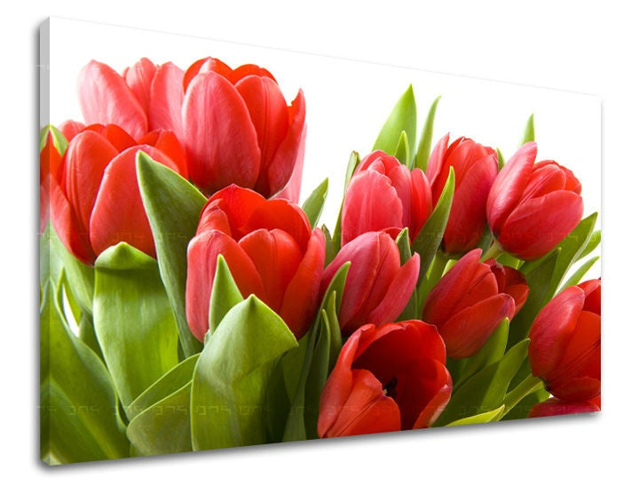 Nádherný tisk červených tulipánů s jasně zelenými listy na plátně s viditelným dřevěným rámem Papilora.