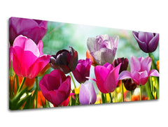 Na plátně je zobrazeno pole rozkvetlých tulipánů v různých odstínech fialové a růžové barvy, s viditelným dřevěným rámem Papilora.