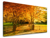 XOBST020E11-80x120-24h.jpg