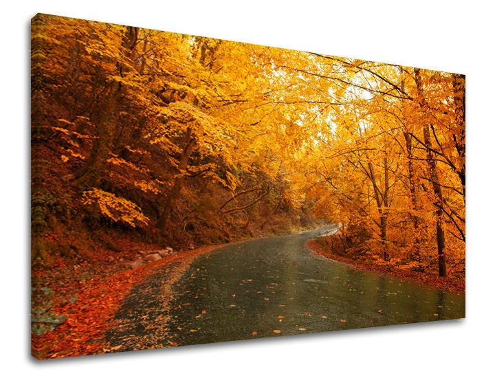 Klasický obraz na plátně s motivem les, stromy, krajina, příroda v hnědo-oranžových odstínech, klidná atmosféra, příroda a samota, vhodný do kanceláře – hlavní