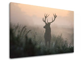 Klasický obraz na plátně s motivem ZVÍŘATA, opar, krajina, příroda, zvíře v oranžovo-růžových odstínech, klidná atmosféra, příroda a samota – produkt