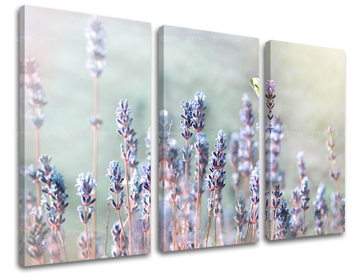 Geometrický obraz na plátně s motivem levandule, květy, pole, motýl v bílo-béžových odstínech, klidná atmosféra, příroda a jarní atmosféra – hlavní