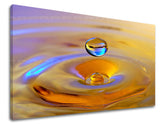 XOBFS016E11-30x40-24h.jpg