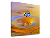 XOBFS016E12-50x50-24h.jpg