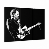 Ručně malovaný obraz POP Art Bruce Springsteen 3 dílná bs – 3D vizualizace ručně malovaného plátna na bílém pozadí. Dominantní barvy: černá, bílá, šedá.
