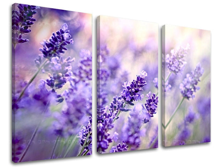 Triptych s fialovými květy levandule na plátně s viditelným dřevěným rámem Papilora.