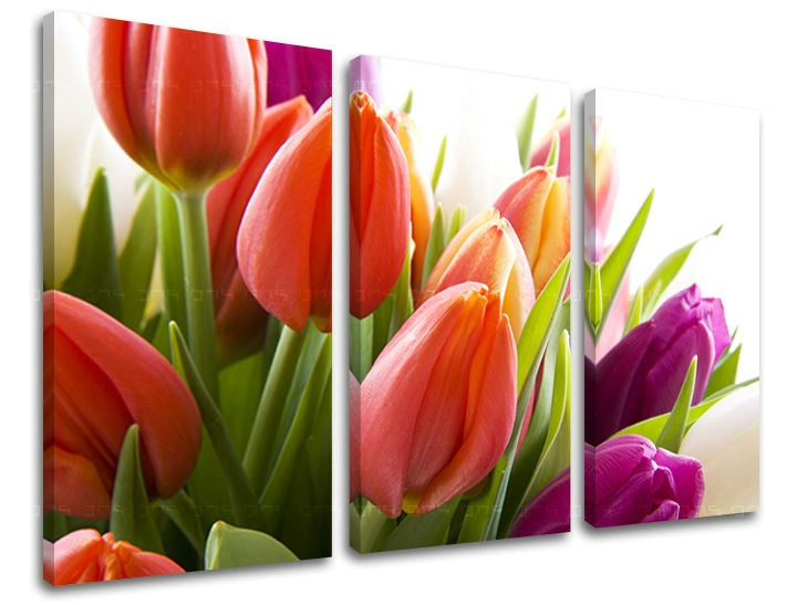 Třídílný obraz s detailním záběrem na kytici červených a fialových tulipánů s výraznými zelenými listy, připravený k zavěšení, Papilora.