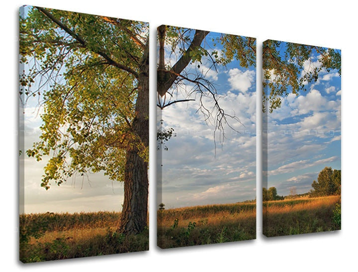 Triptych s motivem stromu a oblohy s mraky na plátně s viditelným dřevěným rámem Papilora.