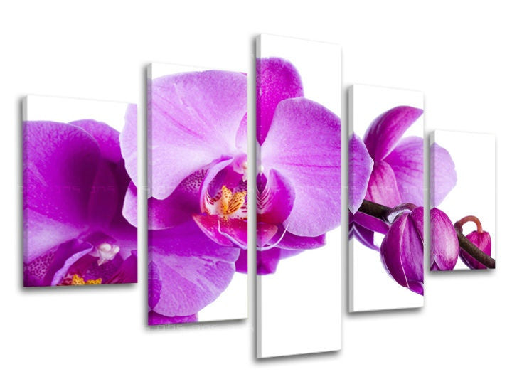 Detailní pohled na fialové květy orchidejí na bílém pozadí, rozdělené do pěti pláten, s viditelným dřevěným rámem Papilora.