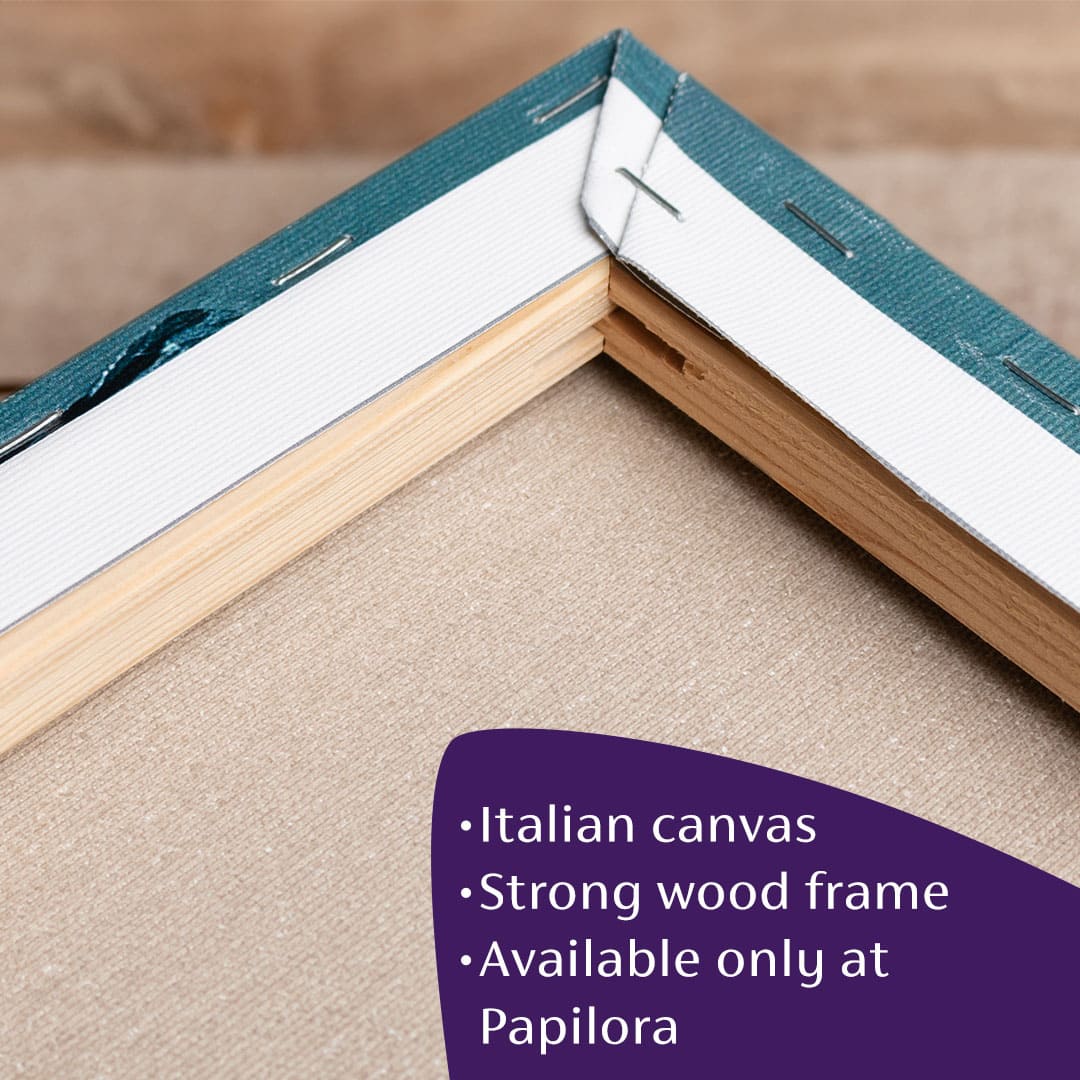 Obrázek Butterfly - The Magic of Nature