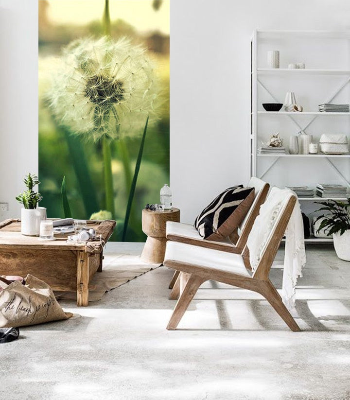 Fototapeta zdarma + lepidlo / KVĚTINY FTKV051V137