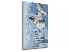 Obraz na plátně ČAJKY