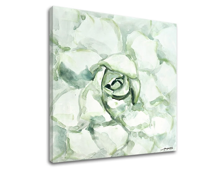 Obraz na plátně KVĚTINA 1 díl XOBCH12530GE1