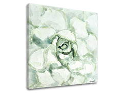 Obraz na plátně KVĚTINA 1 díl XOBCH12530GE1