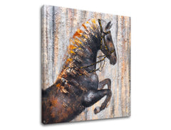 Obraz na plátně 1 díl kůň XOBCH1735HE1