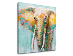 Obraz na plátně SLON 1 díl XOBCH1930ME1