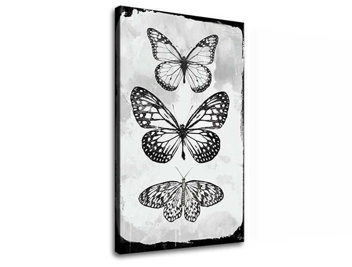 Obrázek na plátně MOTYLES 1 díl XOBCH20477SDE1