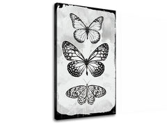 Obrázek na plátně MOTYLES 1 díl XOBCH20477SDE1