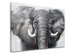 Obraz na plátně SLON 1 díl XOBCHAN021