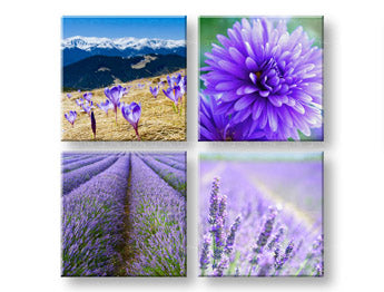 Nástěnná malba Nádherný výhled 4 díly XOBKOL25E42