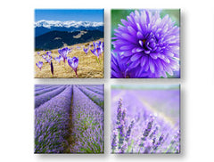 Nástěnná malba Nádherný výhled 4 díly XOBKOL25E42