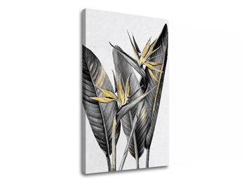 Obraz na plátně RASTLINES 003