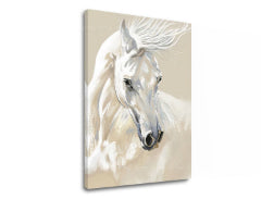 Obraz na plátně MAJESTY WHITE Pigeon