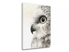 Malba na plátně Pohled sovy
