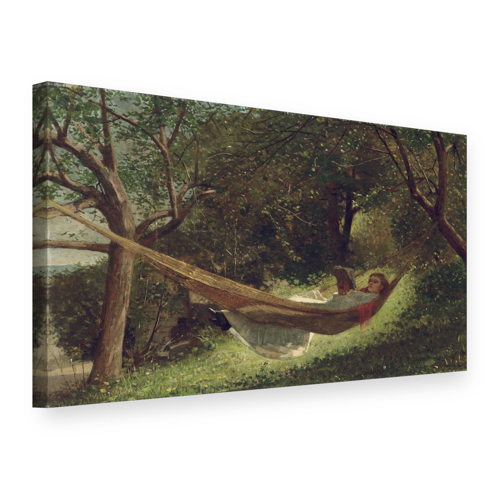 Obraz na plátně Dívka v houpací síti – Winslow Homer, 3D pohled