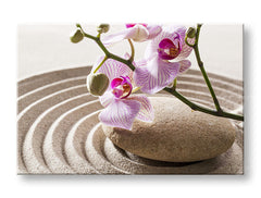Klasický obraz na plátně s motivem FENG SHUI, orchidej, zenová zahrada, květy, mapa v béžovo-růžových odstínech, klidná atmosféra, vhodný do obývacího pokoje – hlavní