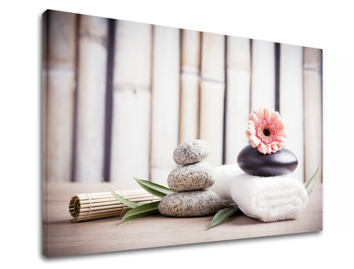 Klasický obraz s motivem FENG SHUI, bambus, květy v béžovo-růžových odstínech | Obraz na plátně FENG SHUI_053-11, příroda – náhled