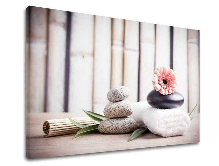Klasický obraz na plátně s motivem FENG SHUI, bambus, květy, příroda v béžovo-růžových odstínech, klidná atmosféra, příroda, vhodný do obývacího pokoje – produkt