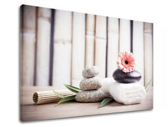 Klasický obraz na plátně s motivem FENG SHUI, bambus, květy, příroda v béžovo-růžových odstínech, klidná atmosféra, příroda, vhodný do obývacího pokoje – produkt