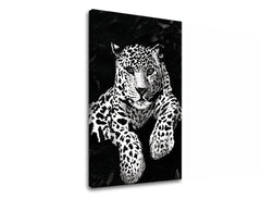 Umělecký tisk na plátně zobrazuje majestátního leoparda v černobílém provedení, s viditelným dřevěným rámem Papilora.