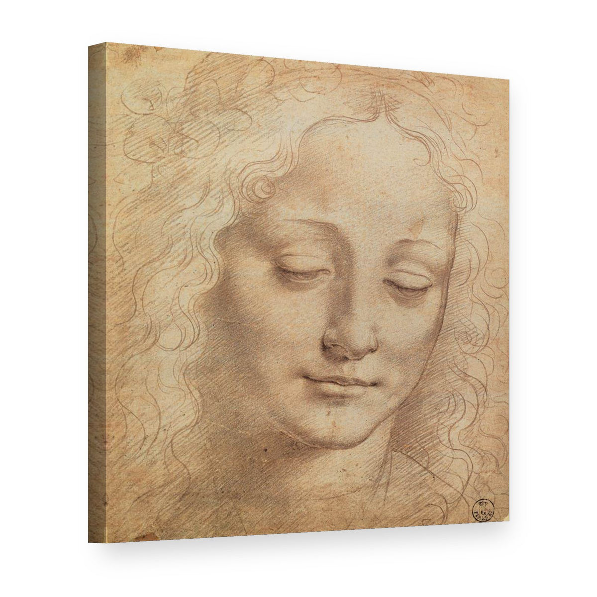 Obraz na plátně Hlava ženy III – Leonardo da Vinci, 3D pohled