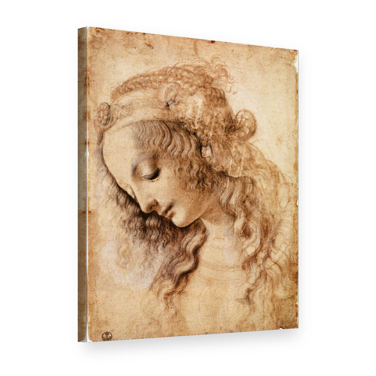 Obraz na plátně Hlava ženy – Leonardo da Vinci, 3D pohled