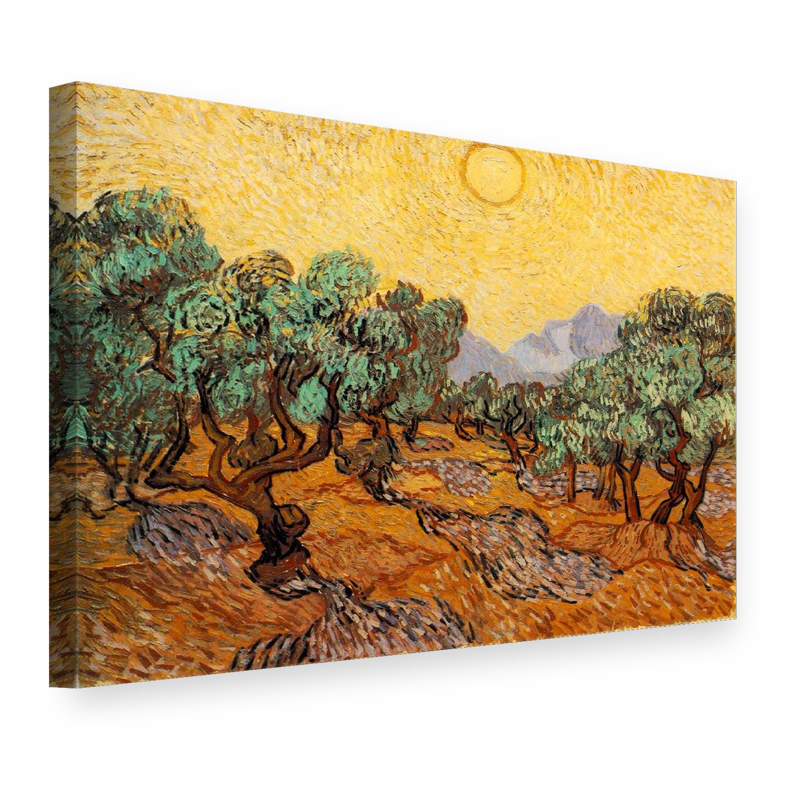 Obraz na plátně Olivovníky – Vincent van Gogh, 3D pohled