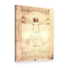 Obraz na plátně Vitruviánský muž – Leonardo da Vinci, 3D pohled