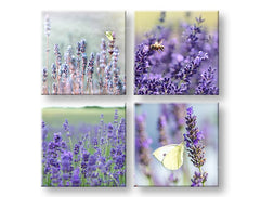 Nástěnná malba KOLÁŽ 4 díly XOBKOL06E42