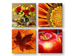 Nástěnná malba KOLÁŽ 4 díly XOBKOL07E42