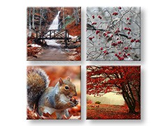 Nástěnná malba KOLÁŽ 4 díly XOBKOL11E42