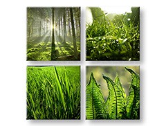 Nástěnná malba KOLÁŽ 4 díly XOBKOL14E42