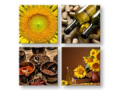 Nástěnná malba KOLÁŽ 4 díly XOBKOL15E42