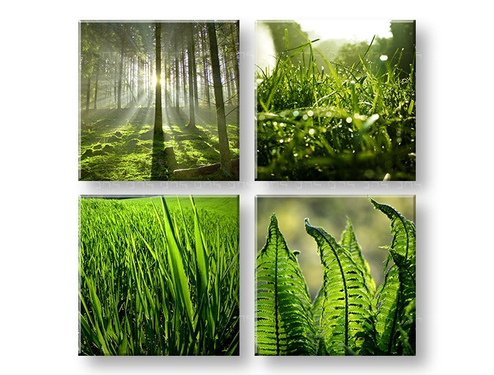 V boho stylu obraz s motivem Sunrise of Nature, les, krajina v zelených odstínech | Obraz na stěnu Sunrise of Nature, příroda a jarní atmosféra – náhled