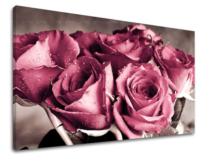 Detailní záběr na sytě růžové růže s kapkami rosy na plátně, s viditelným dřevěným rámem, Papilora.